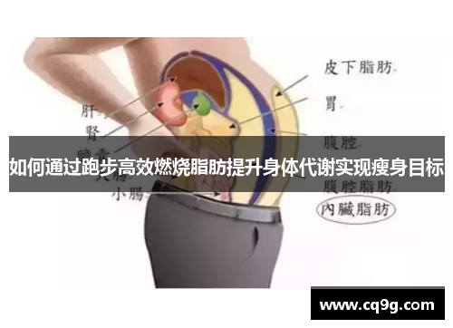 如何通过跑步高效燃烧脂肪提升身体代谢实现瘦身目标